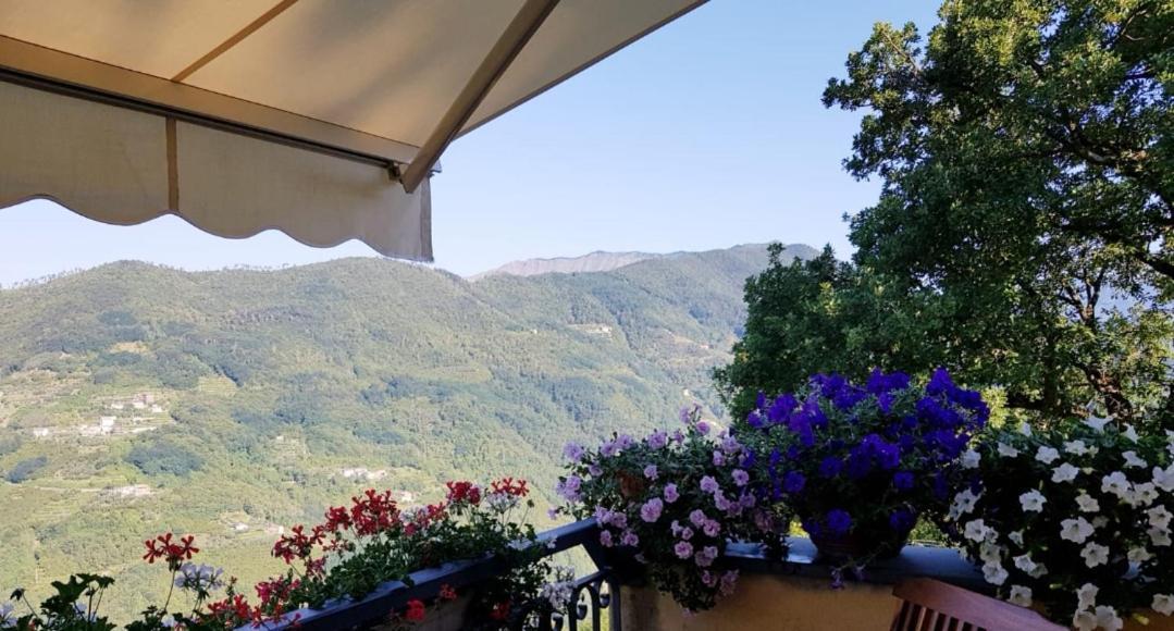 Bed and Breakfast Elsa House à Mezzanego Extérieur photo