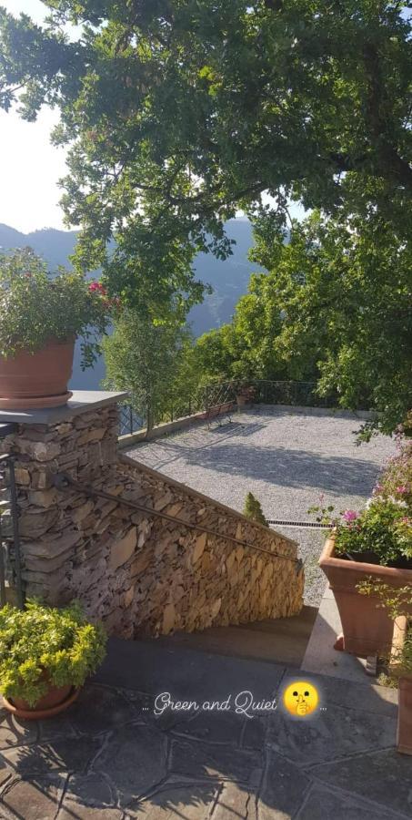 Bed and Breakfast Elsa House à Mezzanego Extérieur photo