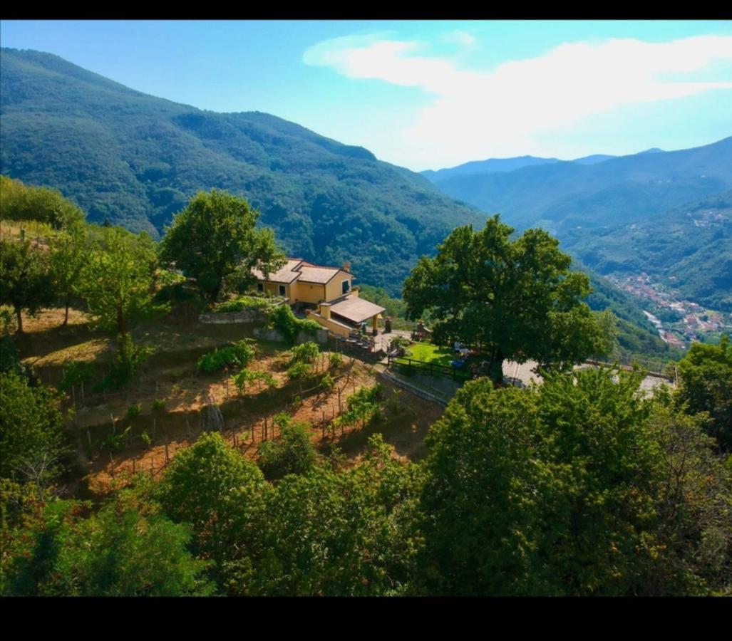 Bed and Breakfast Elsa House à Mezzanego Extérieur photo